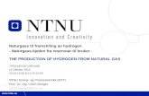 Naturgass til fremstilling av hydrogen  - Naturgass-kjeden fra reservoar til bruker -