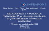 Verseny és szabályozás 2012 2013.09.25 Pápai Zoltán .