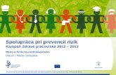 Spolupráca pri prevencií rizík Kampaň Zdravé pracoviská 2012 – 2013