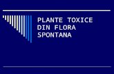 PLANTE TOXICE DIN FLORA SPONTANA