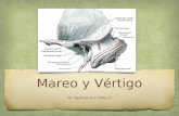 Mareo y Vértigo