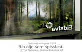 Fjernvarmedagene 2010 Bio olje som spisslast,  v/ Tor Fjærgård, Eidsiva Bioenergi AS