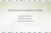 Objektové databáze a OQL