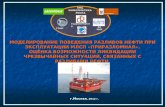 Моделирование поведения разливов нефти ПРИ ЭКСПЛУАТАЦИИ МЛСП « Приразломная ».