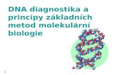 DNA diagnostika a principy základních metod molekulární biologie
