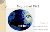Seguridad DNS