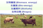 生物質能 (Biomass  energy) 生質能 (Bio-energy) 生質燃料 (Biofuels) 生物沼氣 (Biogas)