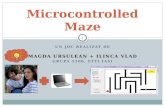 Microcontrolled  Maze