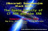(Obscured) Supermassive Black Holes