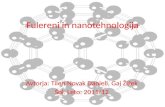 Fulereni in nanotehnologija