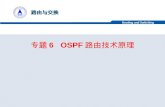 专题 6   OSPF 路由技术原理