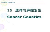 16   遗传与肿瘤发生 Cancer  G enetics