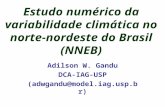 Estudo numérico da variabilidade climática no norte-nordeste do Brasil (NNEB)