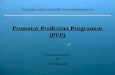 Promotor  Prediction  Programms (PPP)