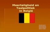 Meertaligheid en Taalpolitiek  in België