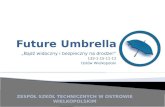 Future Umbrella