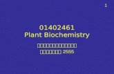 01402461 Plant Biochemistry