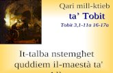 Qari mill-ktieb ta’  Tobit Tobit  3,1-11a 16-17a