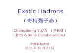 Exotic Hadrons ( 奇特强子态 )