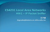 CS4231 Local Area Networks HW1 – IP Packet Sniffer