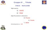 Gruppo  III  _  Trieste     FISICA    NUCLEARE