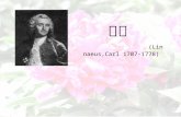 林奈 (Linnaeus,Carl 1707-1778)