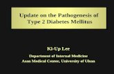Update on the Pathogenesis of  Type 2 Diabetes Mellitus