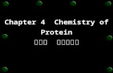 Chapter 4  Chemistry of Protein 第四章  蛋白质化学