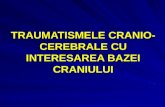 TRAUMATISMELE CRANIO-CEREBRALE CU INTERESAREA BAZEI CRANIULUI