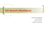 OS Novell (NetWare)