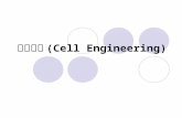 细胞工程 (Cell Engineering)