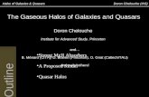Halos of Galaxies & Quasars                                          Doron Chelouche (IAS)