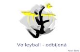 Volleyball - odbíjená