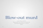 Blow-out murd