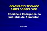 SEMINÁRIO TÉCNICO LMDS / DEFIS / ICE: