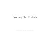 Vortrag über Fraktale – Erik Müller – Sommerakademie Ftan