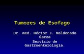 Tumores de Esofago