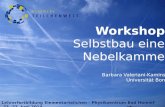 Workshop : Selbstbau einer Nebelkammer Barbara  Valeriani -Kaminski Universität Bonn