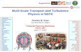 Multi-Scale Transport and Turbulence Physics in NSTX