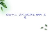 项目十三 访问互联网的 NAPT 实现