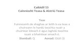 Caibidil 15 Cainníocht Teasa & Aistriú Teasa
