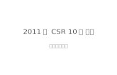 2011 년  CSR 10 대 과제