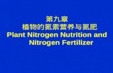 第九章   植物的氮素营养与氮肥 Plant Nitrogen Nutrition and     Nitrogen Fertilizer