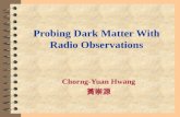 Probing Dark Matter With Radio Observations