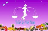 Trái Cây Việt Nam