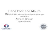 Hand Foot and Mouth Disease  (Iðraveirublöðrumunnb ólga með útbrotum)