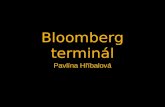 Bloomberg terminál