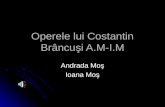 Operele lui Costantin Br âncuşi A.M-I.M