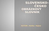 slovensko-Česko obrázkový       ,  SLOVNíK .