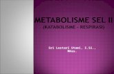 METABOLISME SEL II  (KATABOLISME – RESPIRASI)